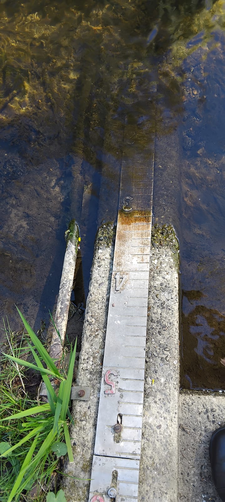 Niedriger Pegelstand an der Steinernen Mühl